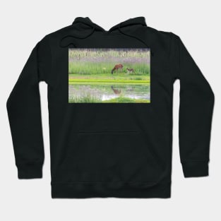 Peaceful Doe Hoodie